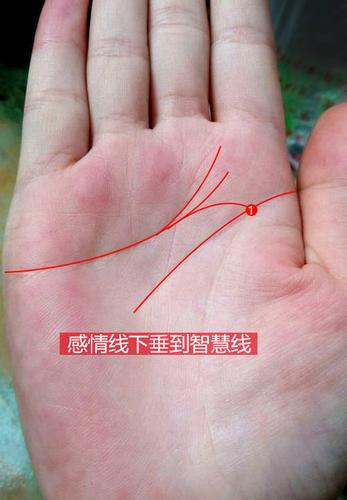容易出轨的男人手相