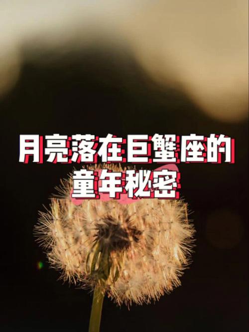 月亮落在双子座
