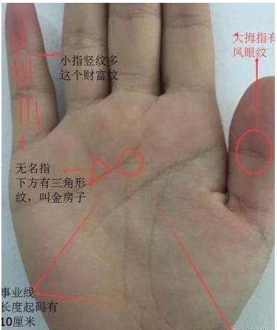 金形手男命运如何