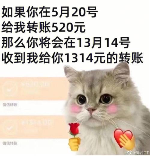 情人节十二星座居然没收到对象的礼物！
