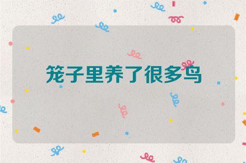 梦见笼子里养了很多鸟
