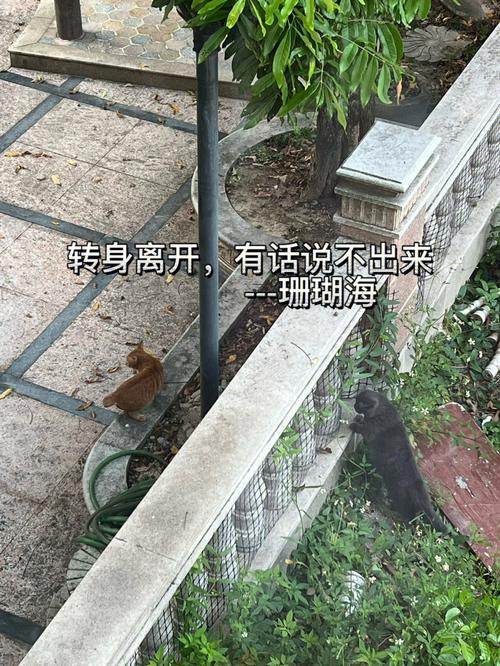 春梦了无痕,天蝎女梦中的主人公会是谁