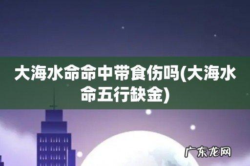 大海水命命中带食伤吗