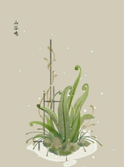 1月31日生日花语:山谷鸣