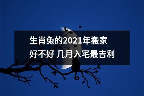 2021年对兔好不好