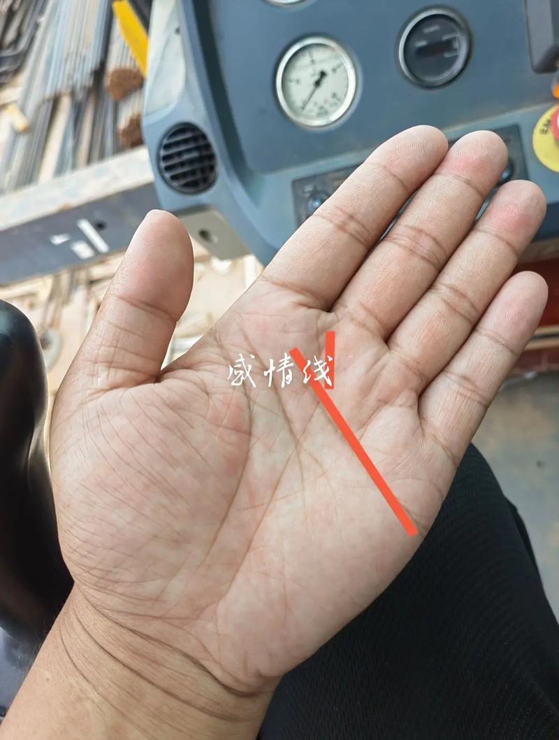 感情线开头分叉意味着什么