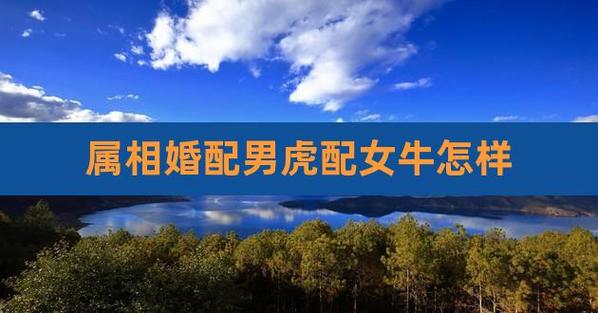 属牛能和属虎的做夫妻吗