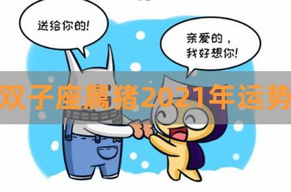 属猪双子座2021爱情运