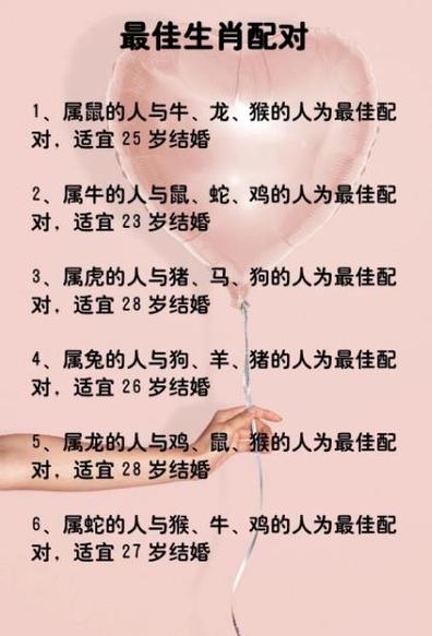 十二生肖婚姻配对
