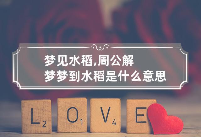 梦见水稻周公解梦,梦见水稻是什么意思?