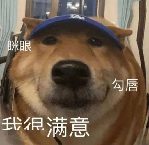 做梦梦见狗发情,暗示生活有什么不好吗