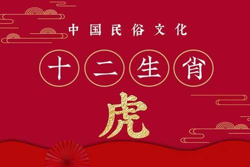 属虎的一生命运怎么样