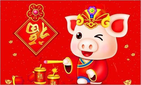 属猪人什么颜色最旺财运