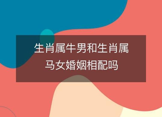 属牛女和属马男可以在一起吗?婚姻幸福吗?