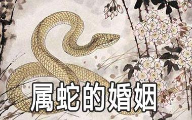 33岁属蛇的婚姻怎么样
