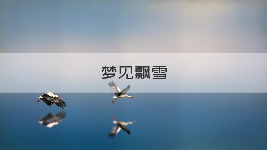 梦见天上飘雪下来了