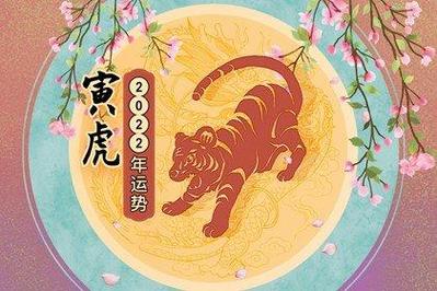属虎的人哪年财运好