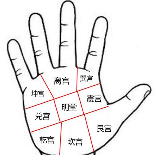 手相八卦宫位和十二宫位介绍