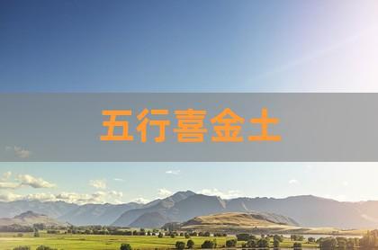 喜用神为金适合去的城市有哪些,可以从事金融业吗