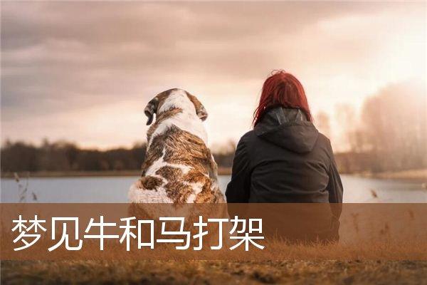 周公解梦：梦见牛和马打架