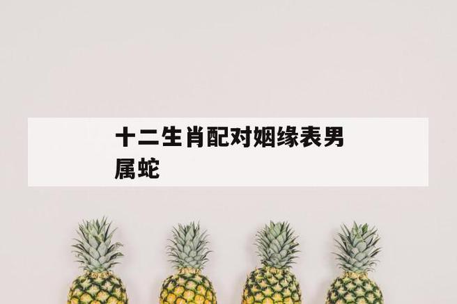 生肖蛇男生优点和缺点