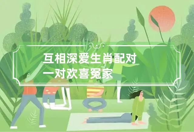 即使伴侣背叛也会深爱对方的生肖