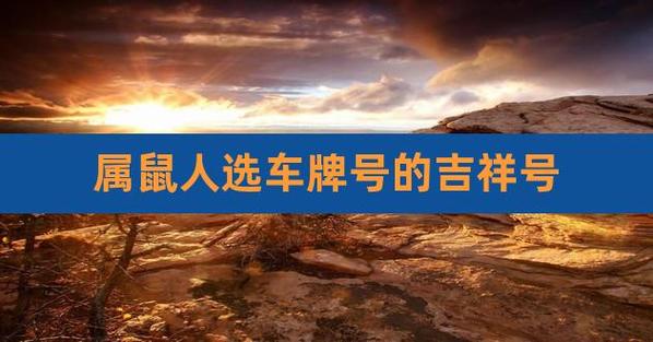 60年属鼠车牌用什么数好