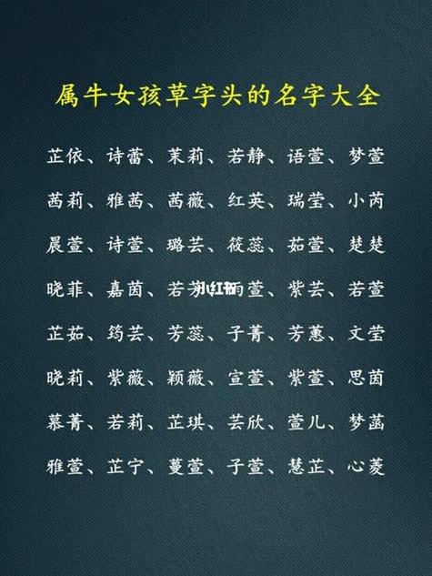 草字头女孩名字大全