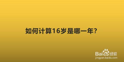 16岁是0几年的