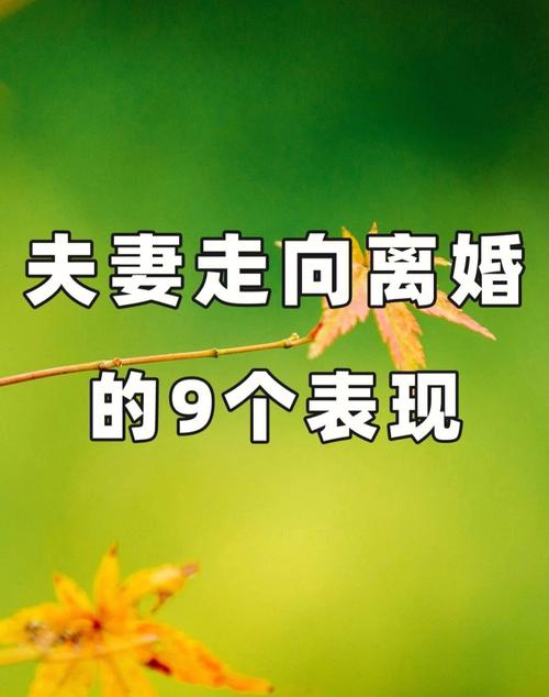 属鼠人你的另一半会是怎样的人?冥冥之中早有定数!
