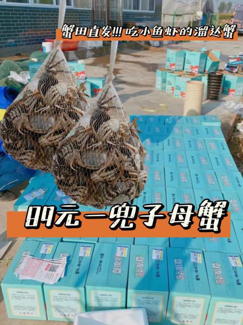 梦见爸爸叫我买螃蟹
