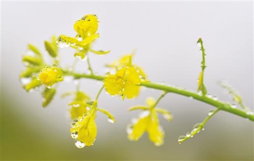 梦见天空在下小雨