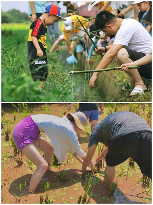 梦到捉螃蟹 梦到捉螃蟹龙虾