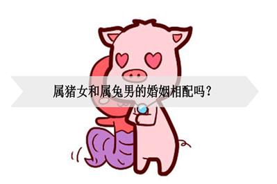 女兔男猪的姻缘怎么样