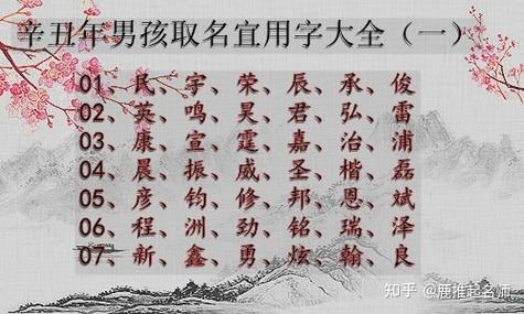 辛丑年生小孩起啥名字好