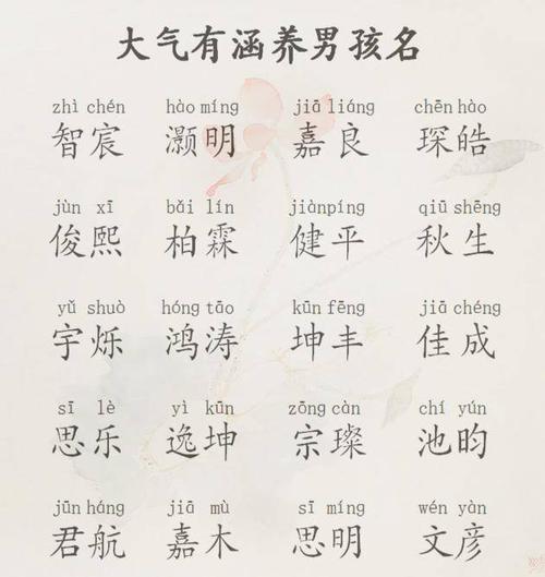 男孩取名有智慧的名字