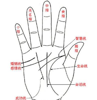 女人手掌相算命图解,大富大贵的手相什么样?
