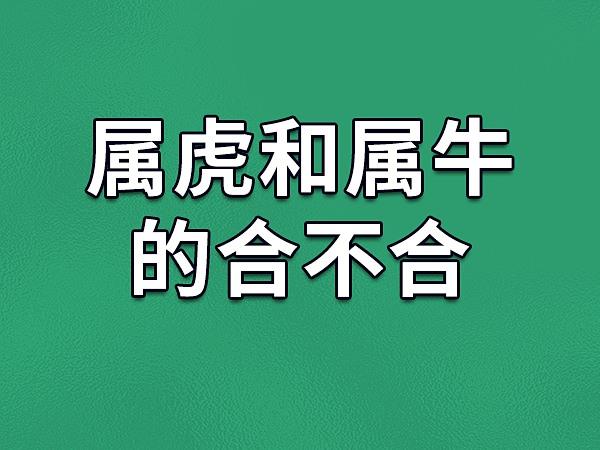 属牛的和属虎的犯冲吗