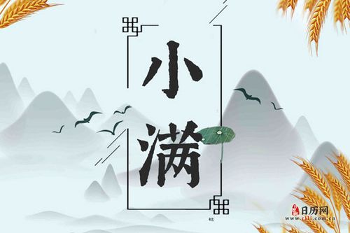 属猪的人小满节气出生好不好,是富贵命吗?