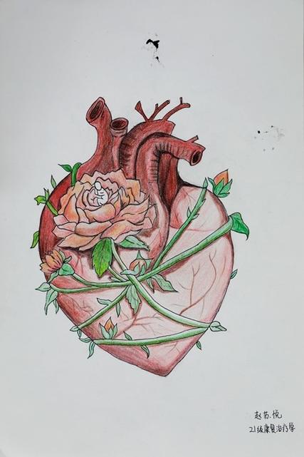 画皮画心难画骨,骨相学的口诀