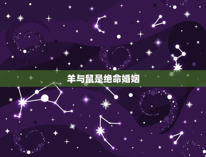 属鼠和属羊婚姻会遇到坎坷吗