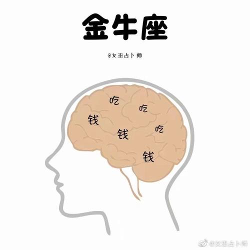 创造鬼才 脑子里永远都有新想法的星座