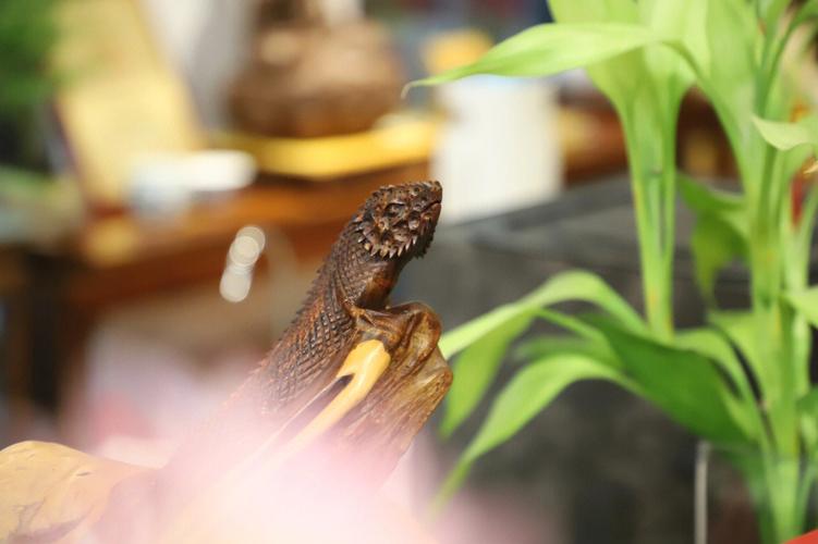 梦见地震电闪雷鸣是好梦吗?