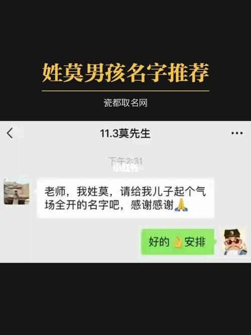 起名姓莫的男孩