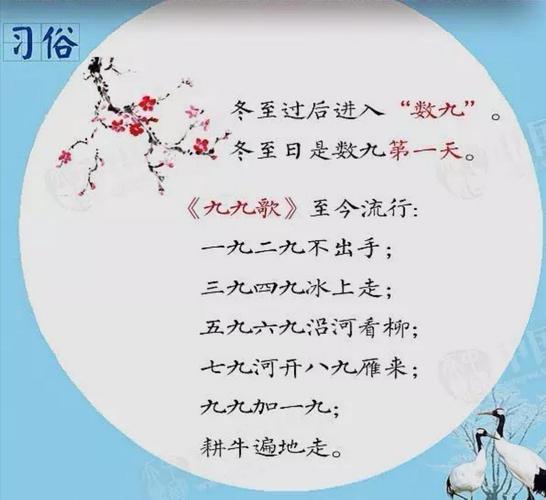 冬至生的孩子取什么名字好
