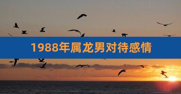 1988年属龙男感情