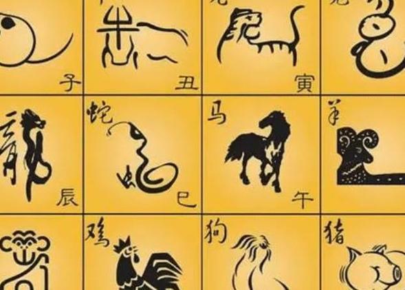 十二生肖职场晋升攻略