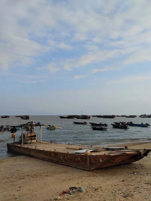 梦见小海湾，梦见小海湾已干涸