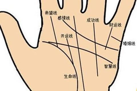 九种富贵手相图解,什么手相最富贵
