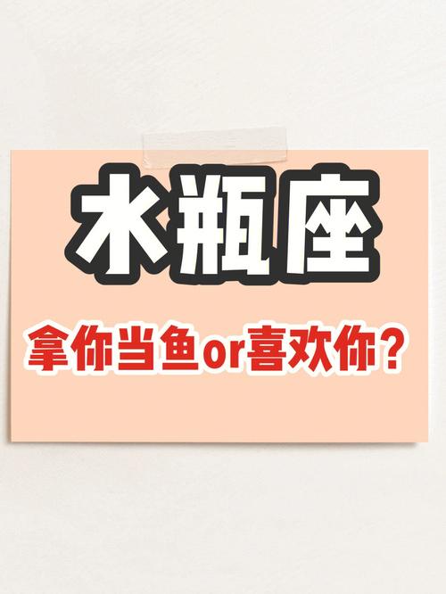水瓶座的职场优势
